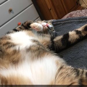 Meet your Posher, Olivia